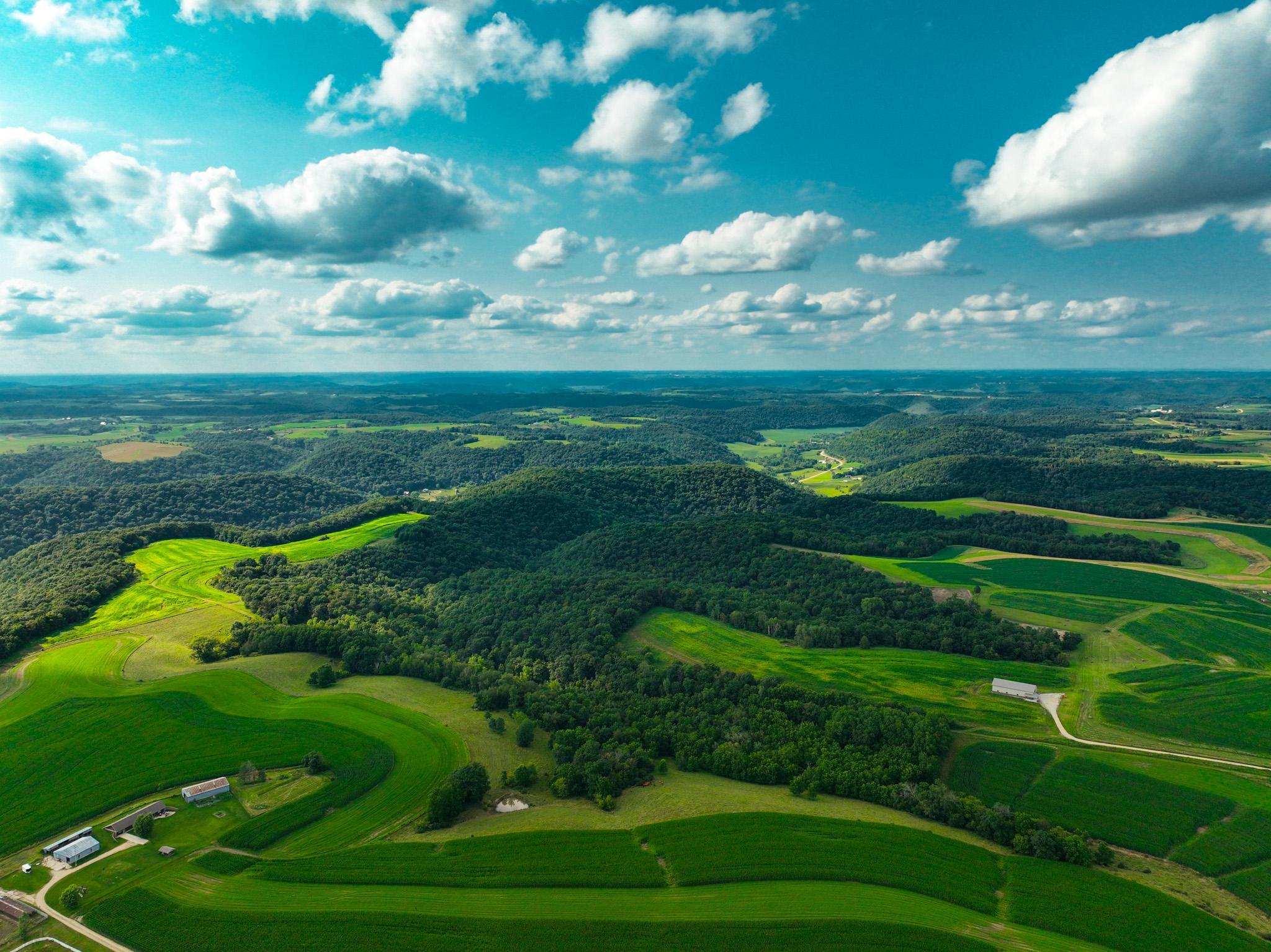 DJI_0299.jpg