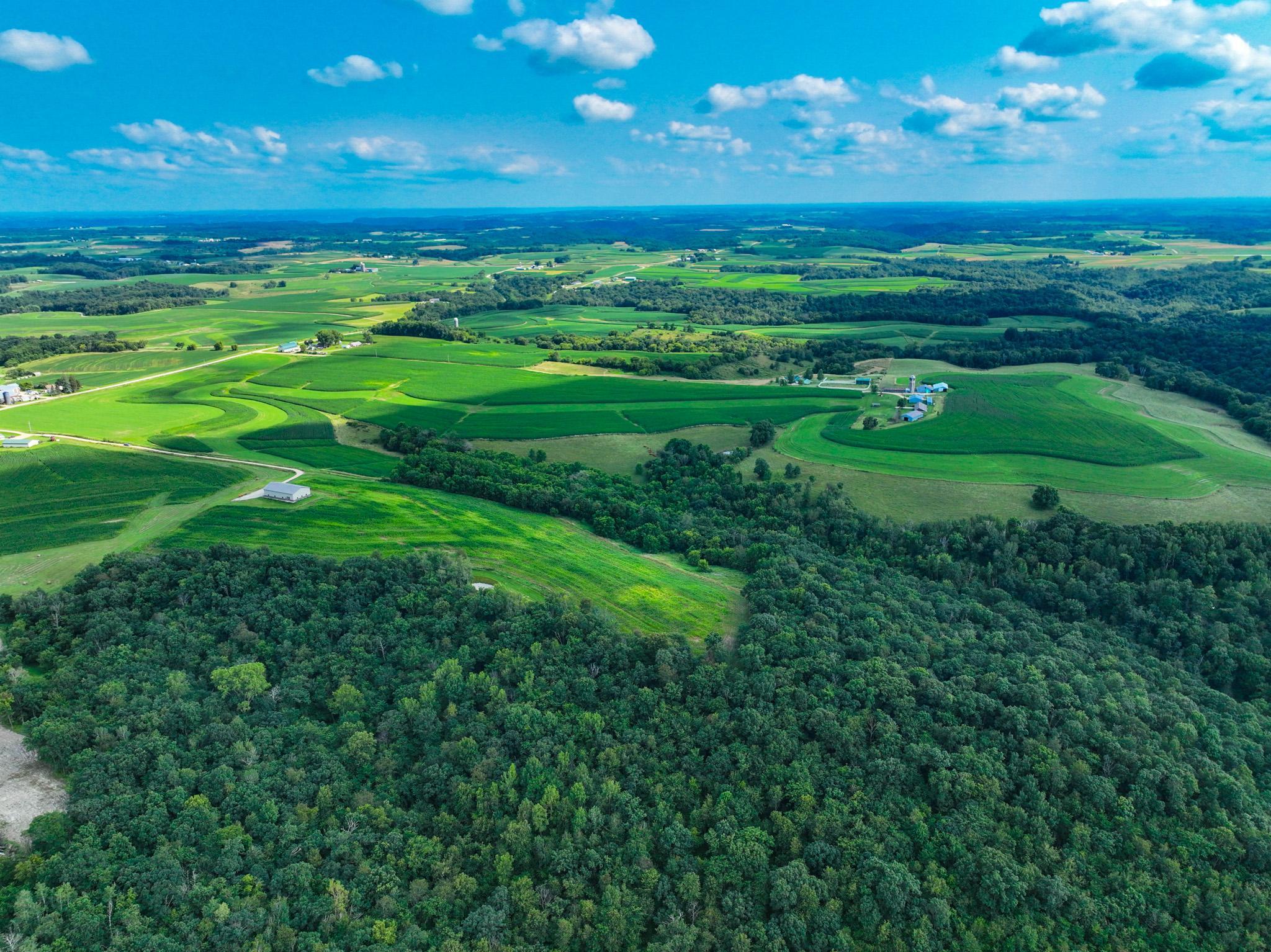DJI_0244.jpg