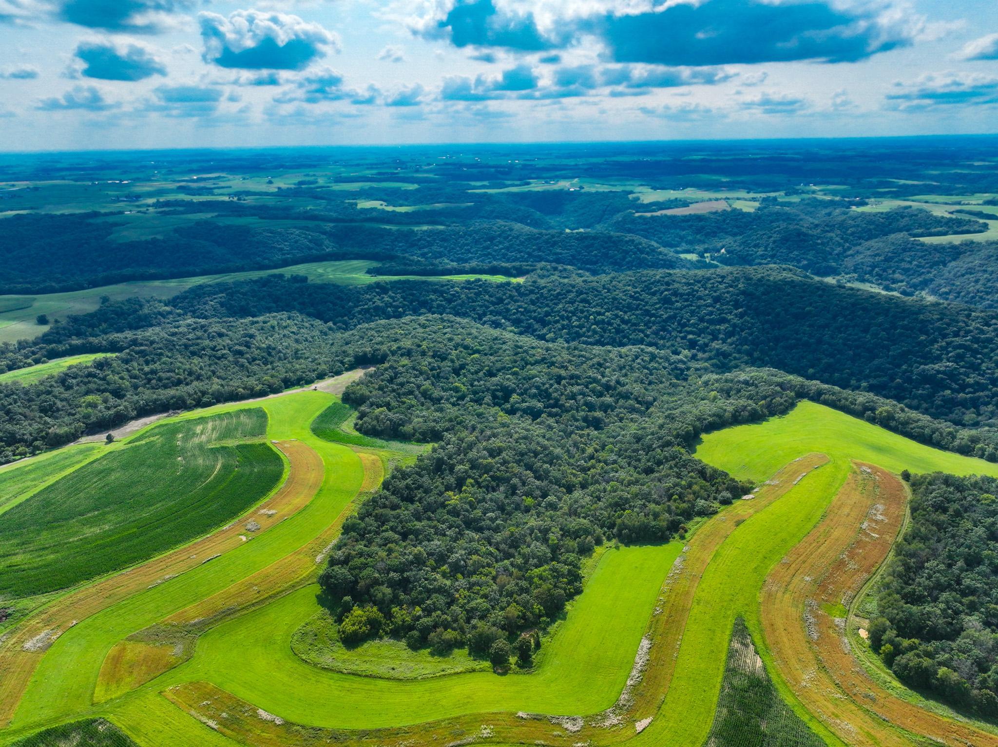 DJI_0250.jpg