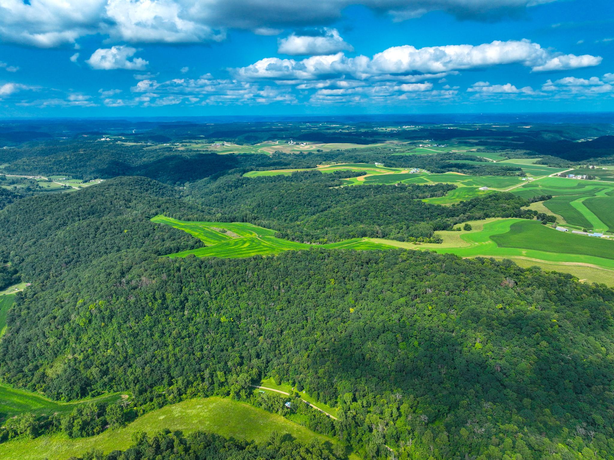 DJI_0254.jpg