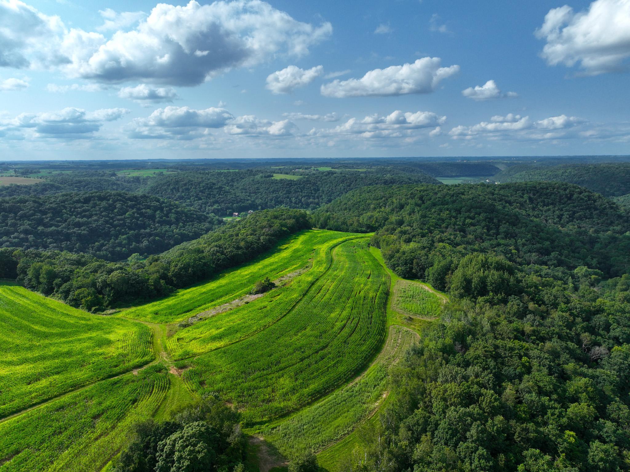 DJI_0296.jpg