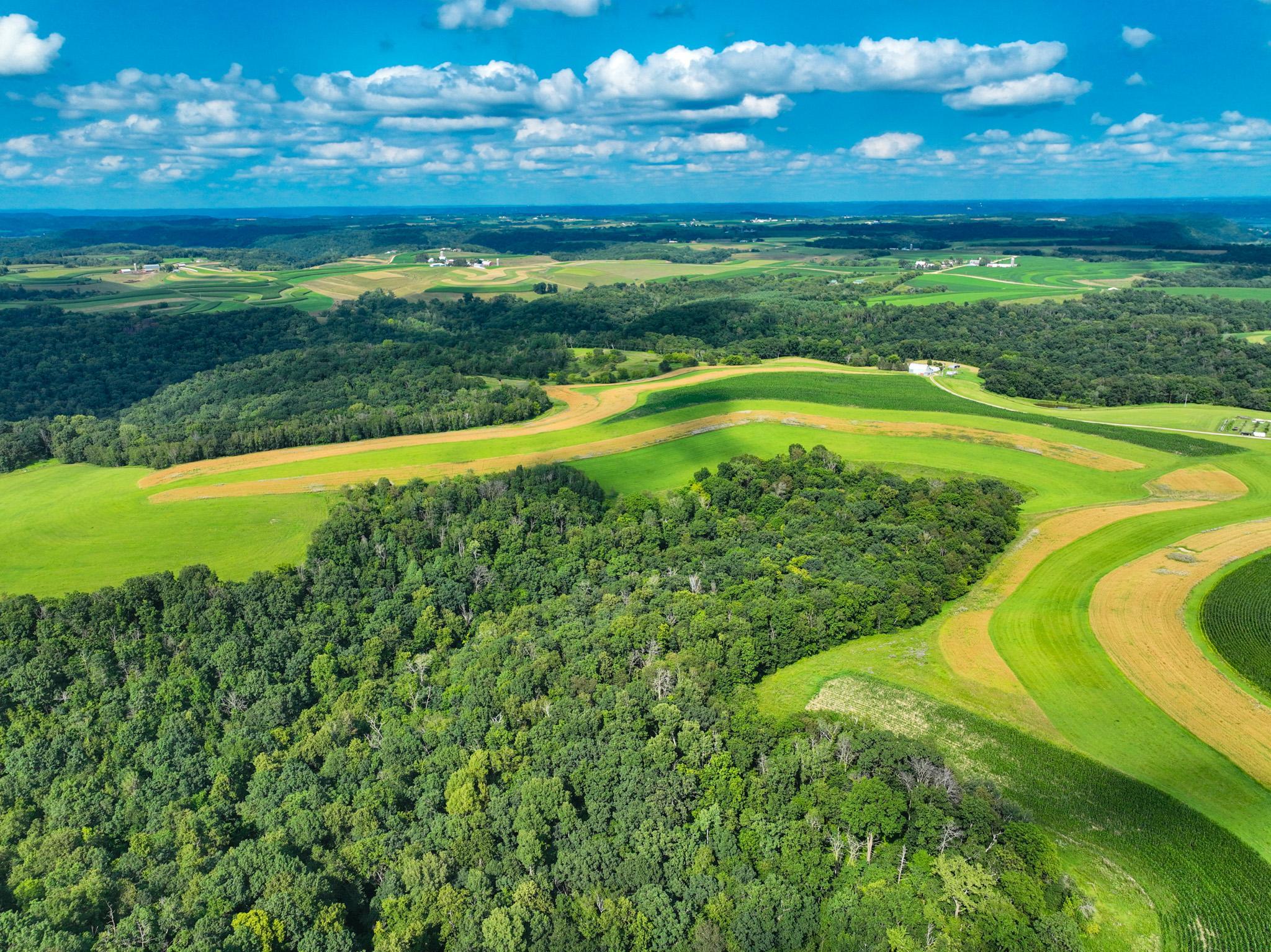 DJI_0248.jpg