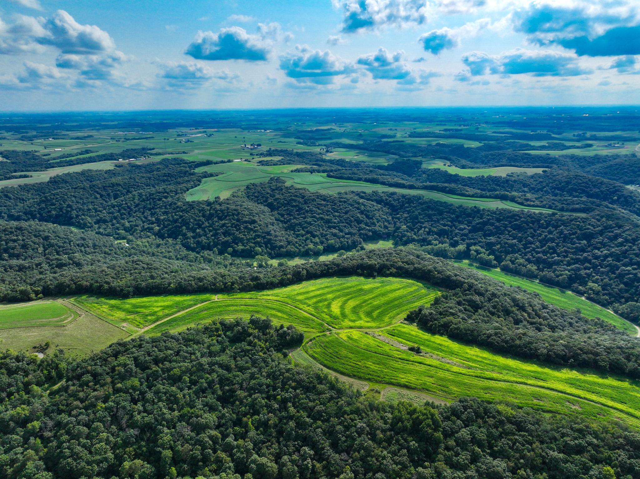 DJI_0280.jpg