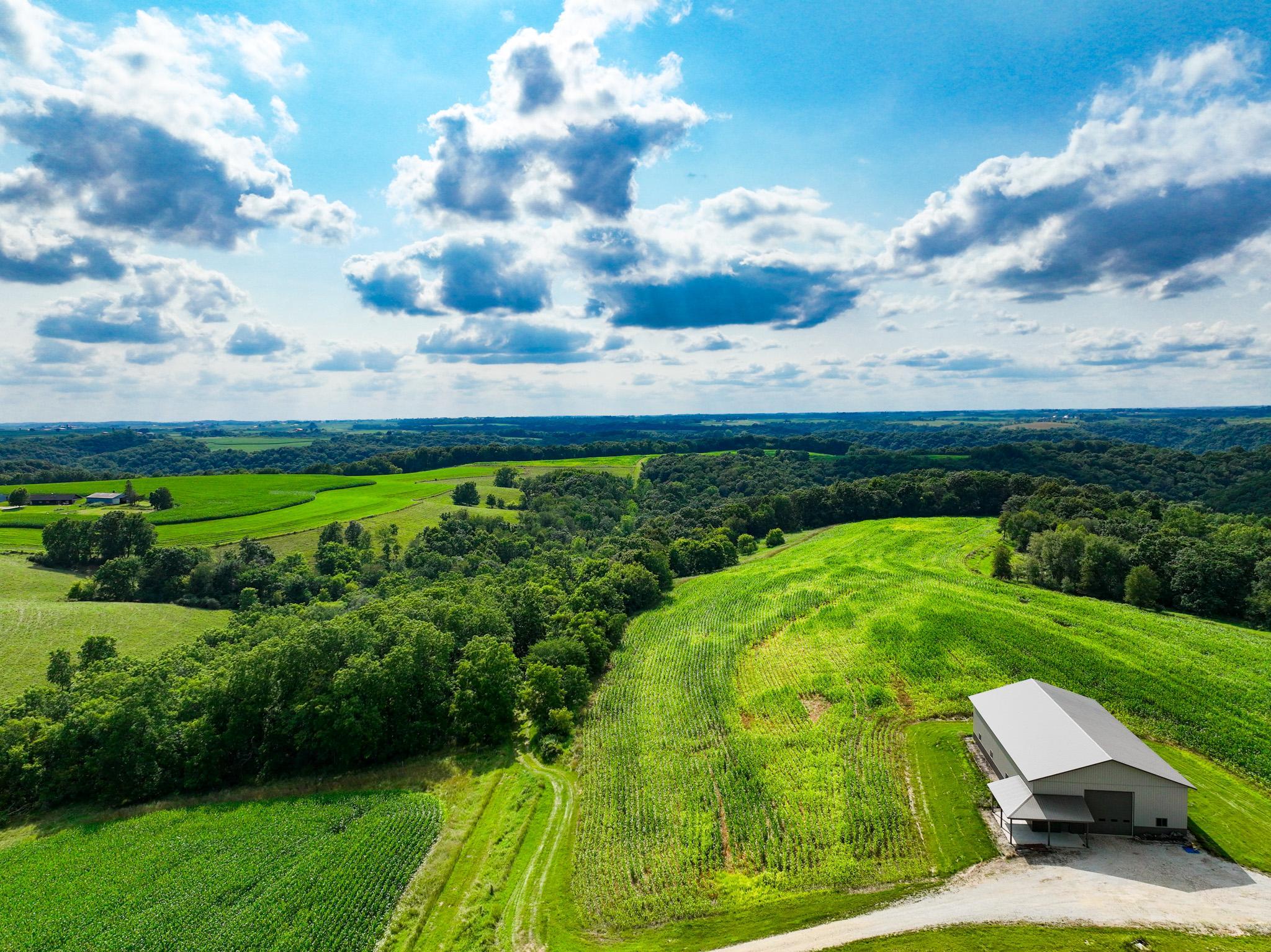 DJI_0265.jpg