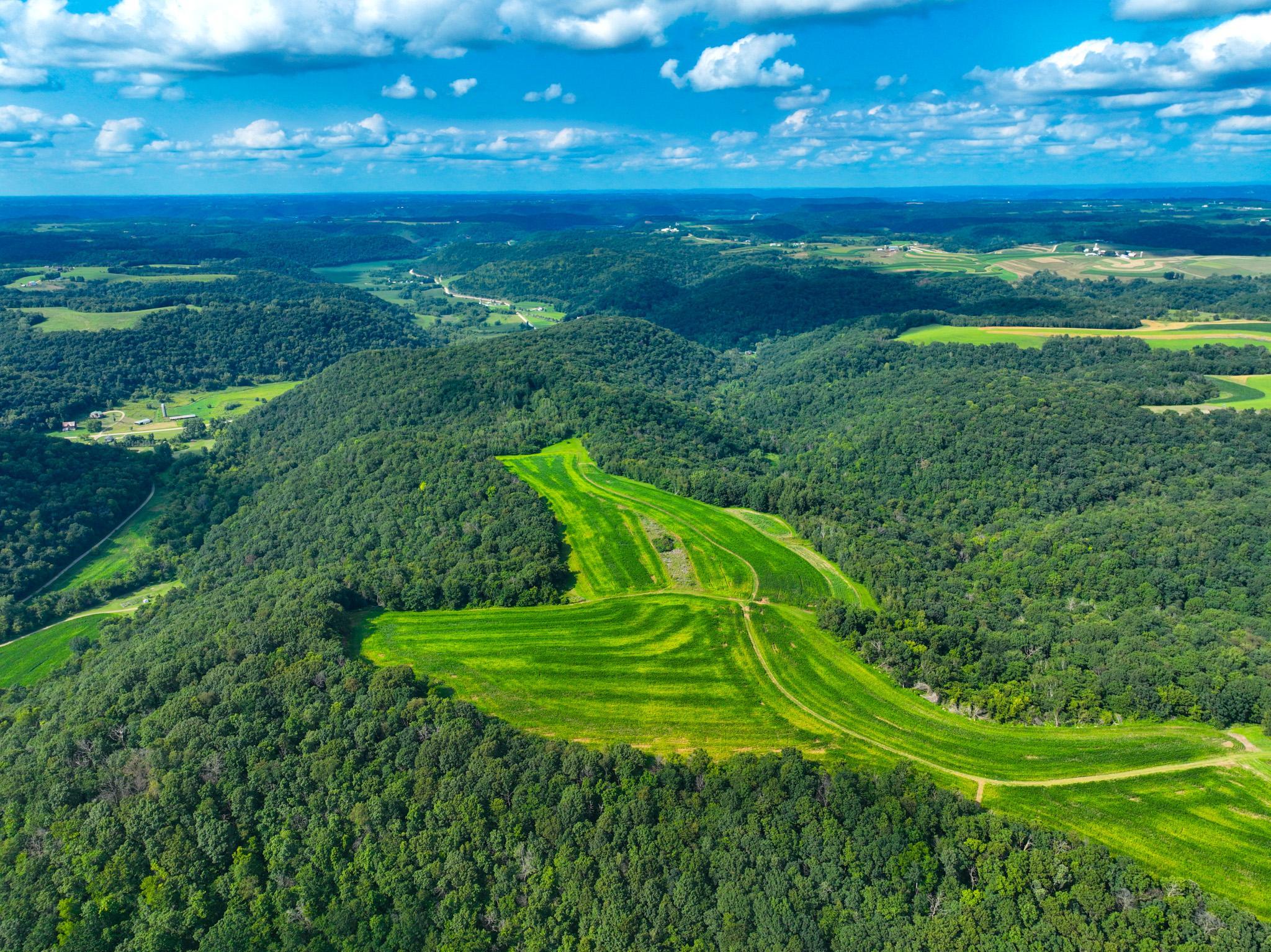 DJI_0252.jpg