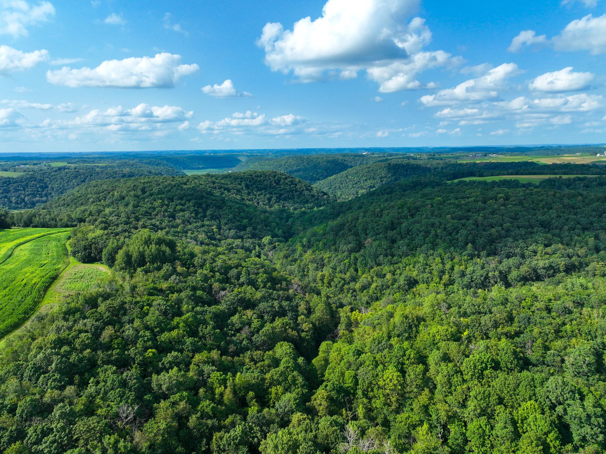 DJI_0297.jpg