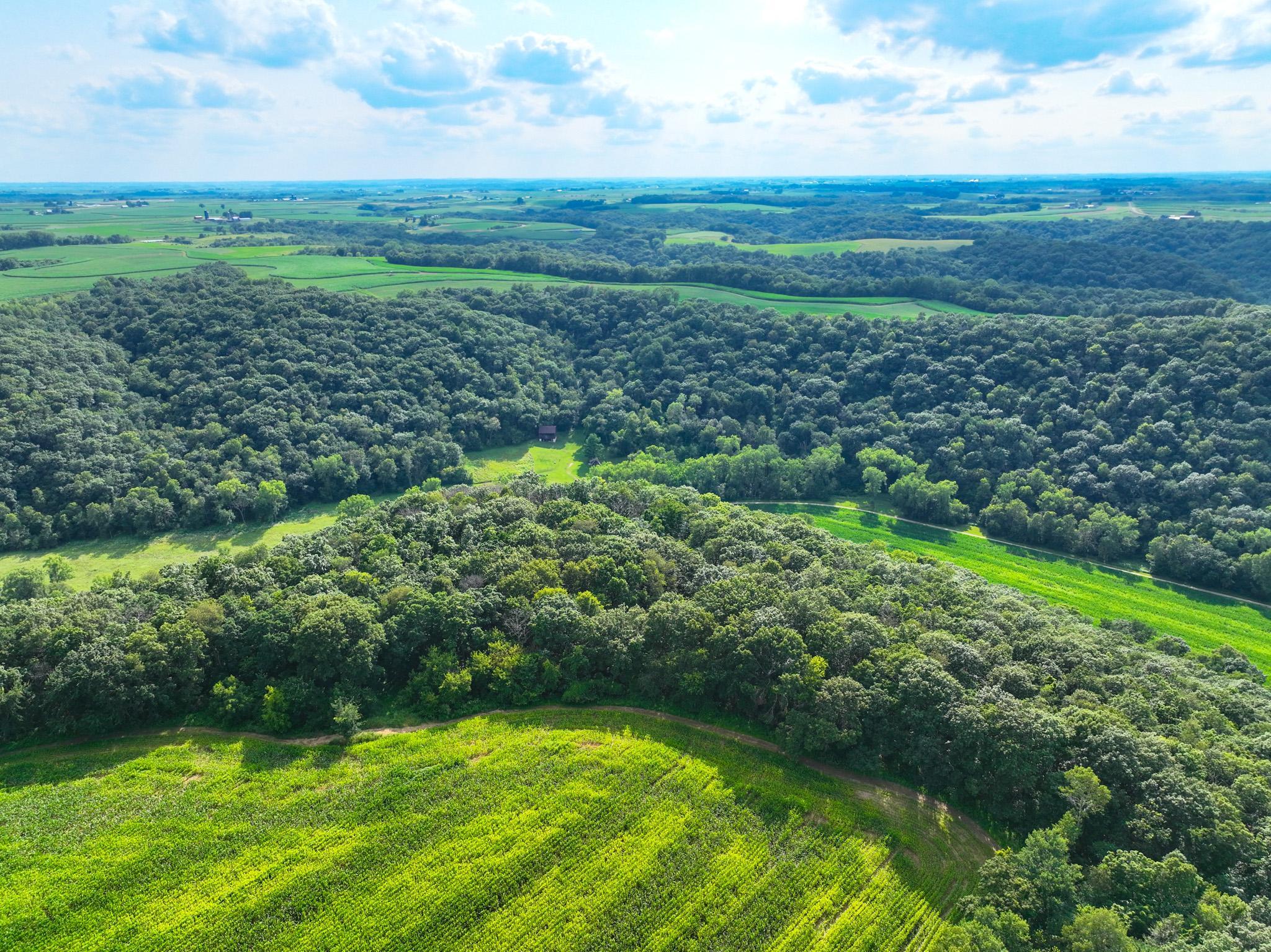 DJI_0289.jpg