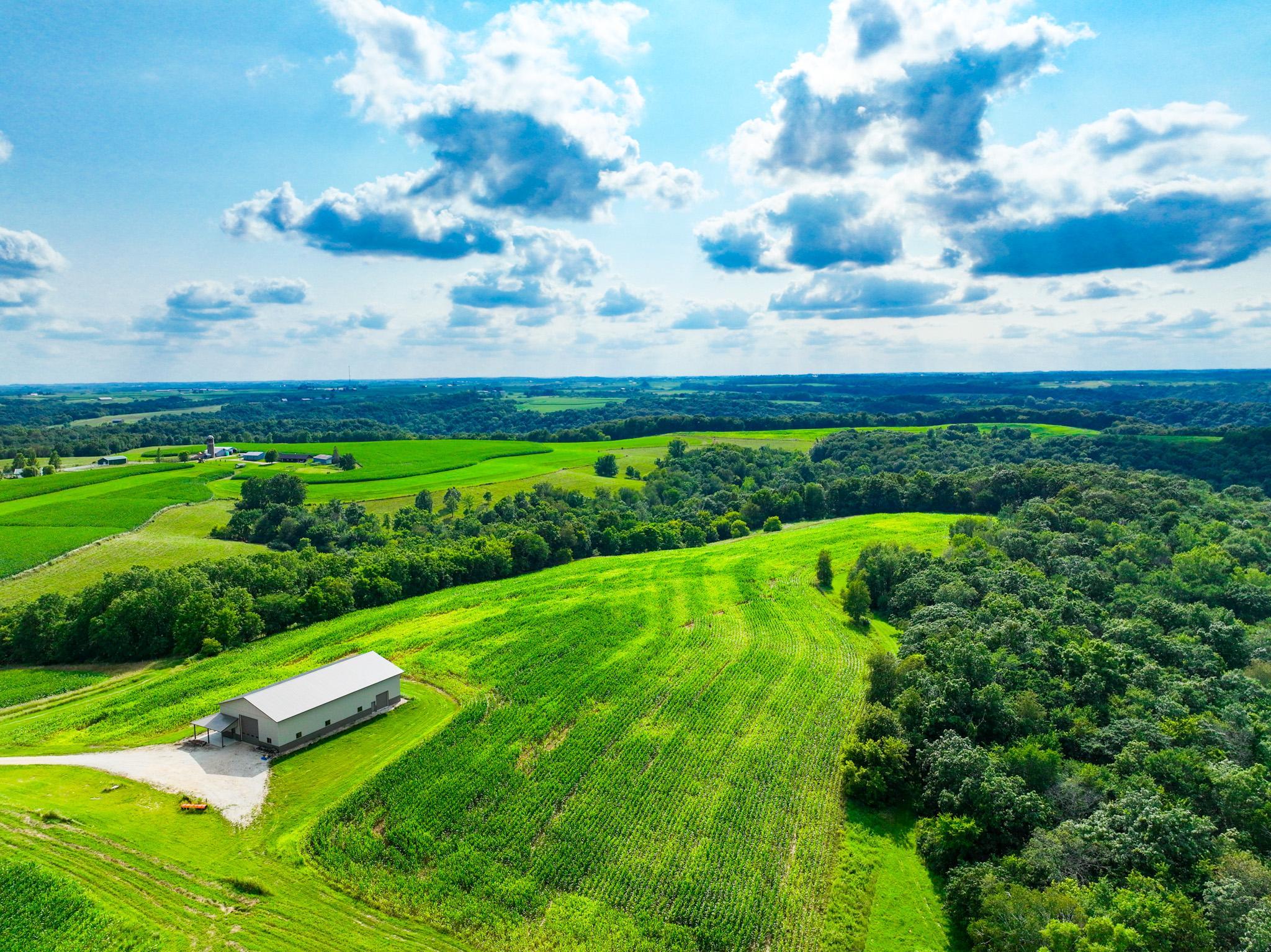 DJI_0264.jpg