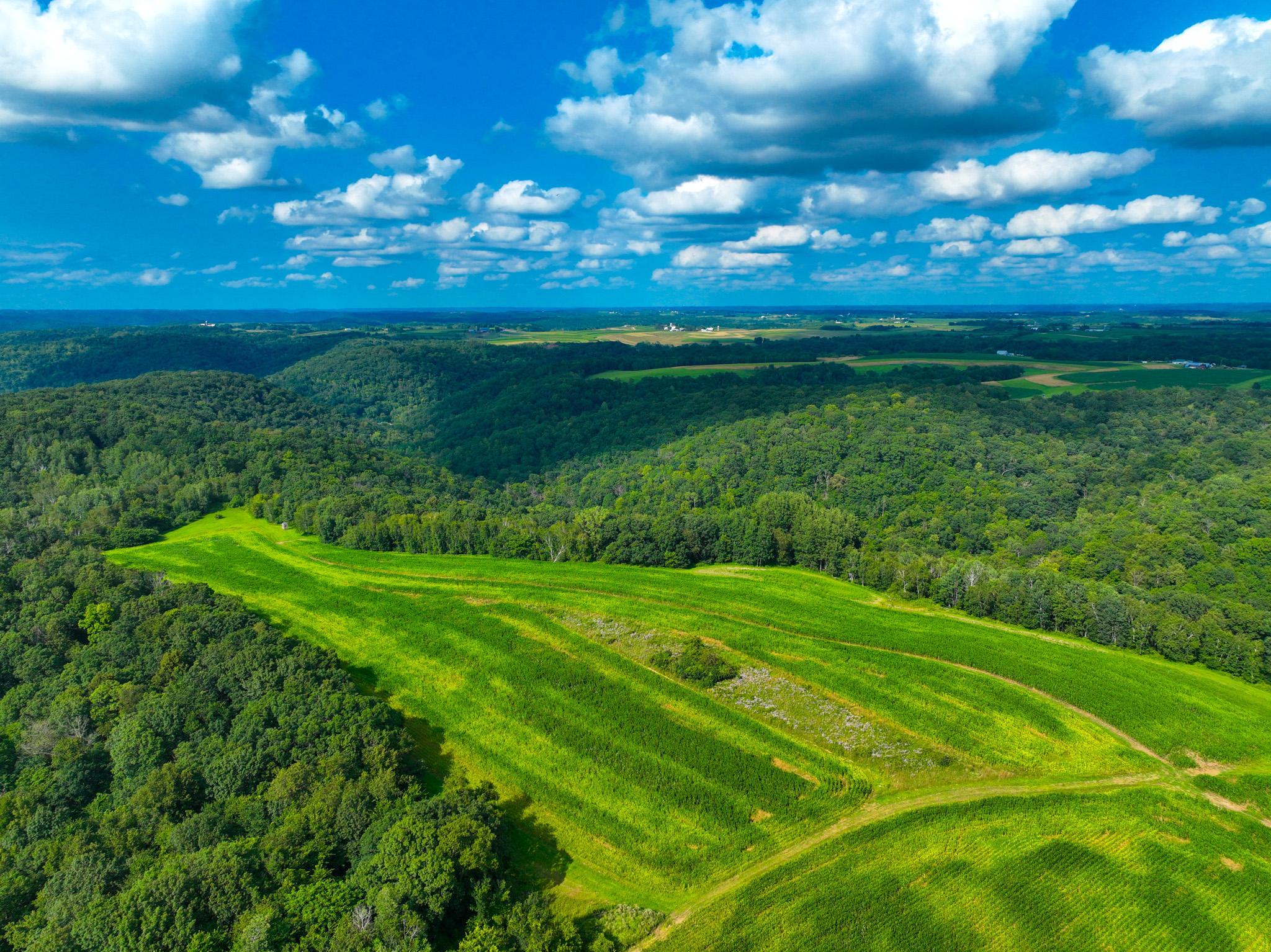 DJI_0292.jpg