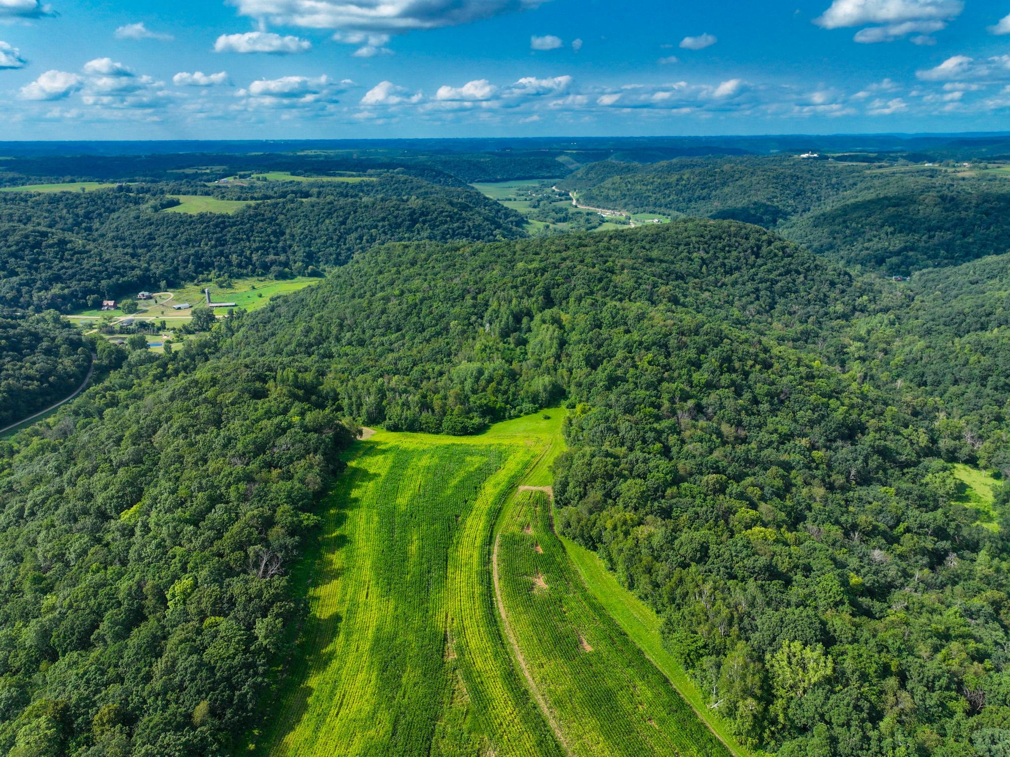 DJI_0256.jpg