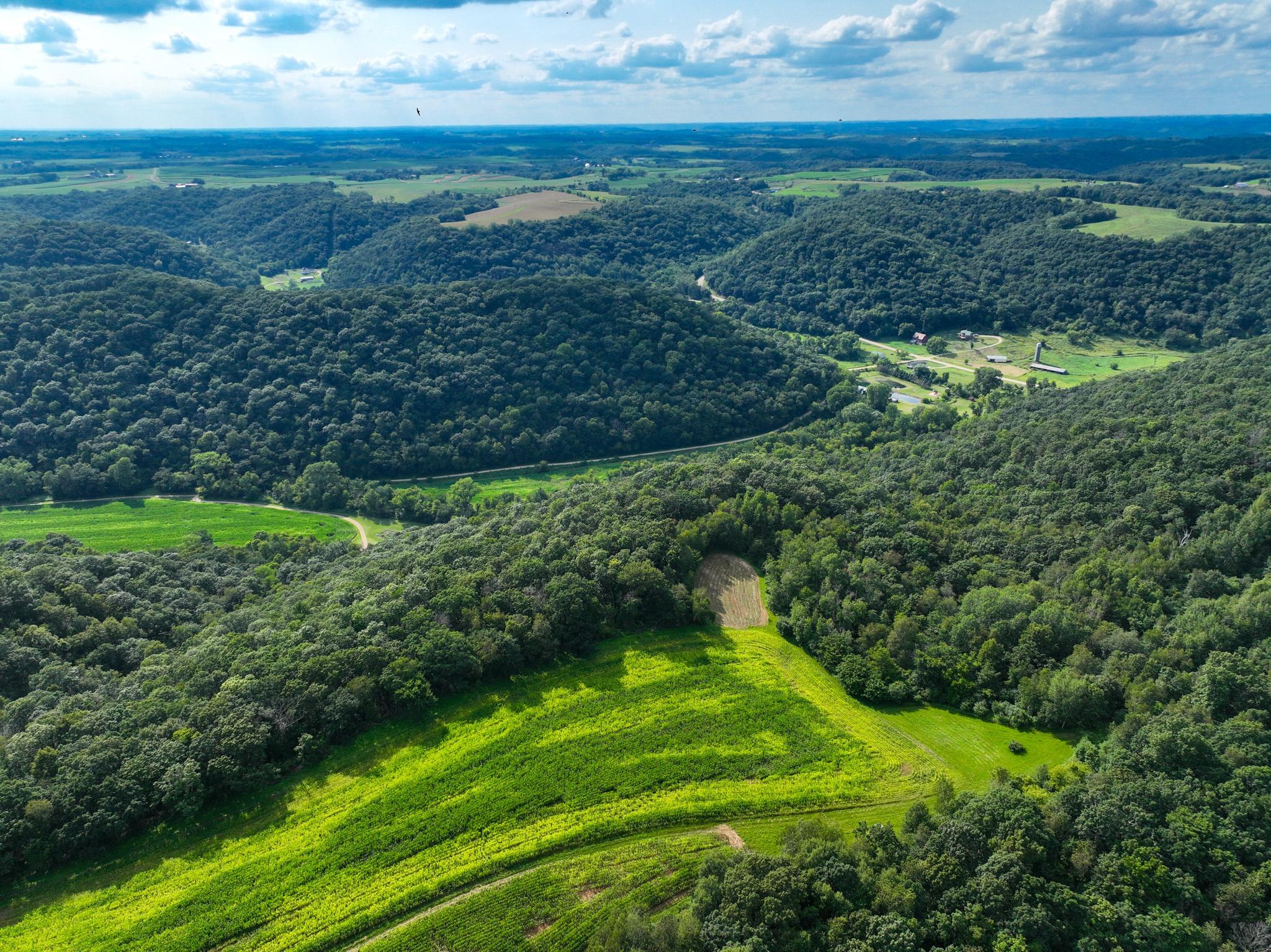 DJI_0281.jpg