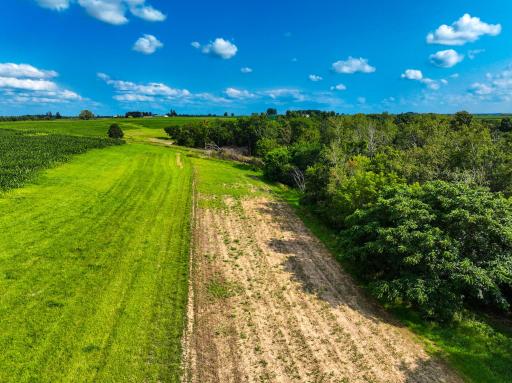 11250 Davy Road, Hokah, MN 55941