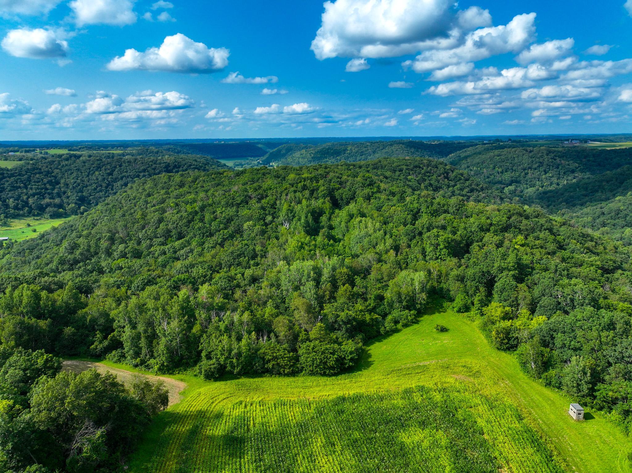 DJI_0283.jpg