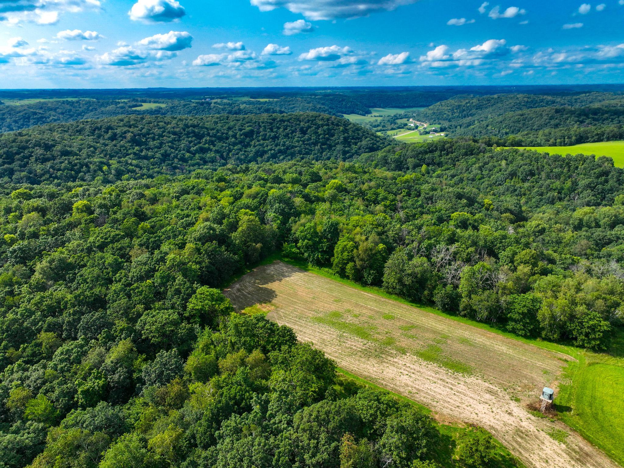 DJI_0260.jpg