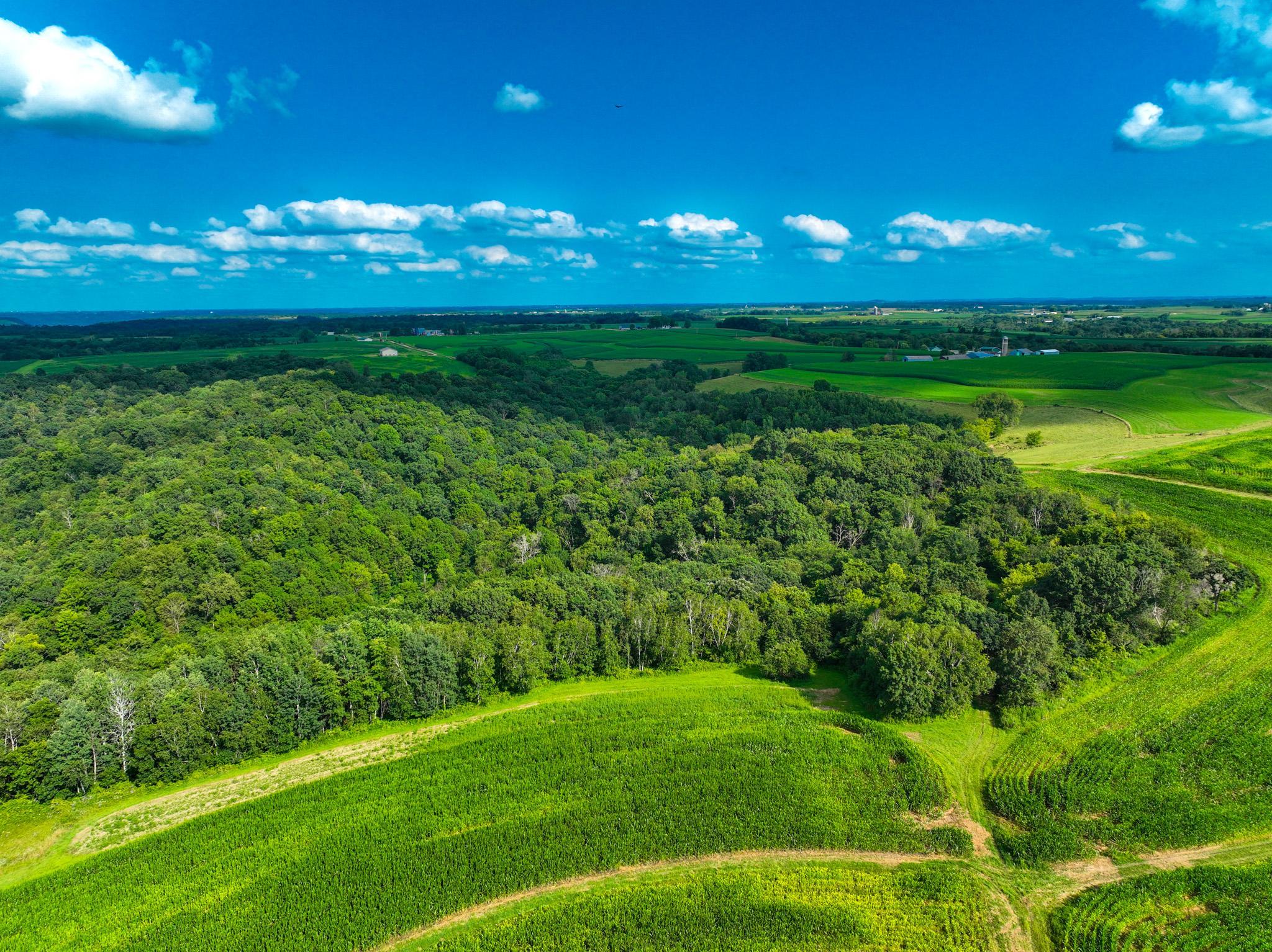 DJI_0293.jpg