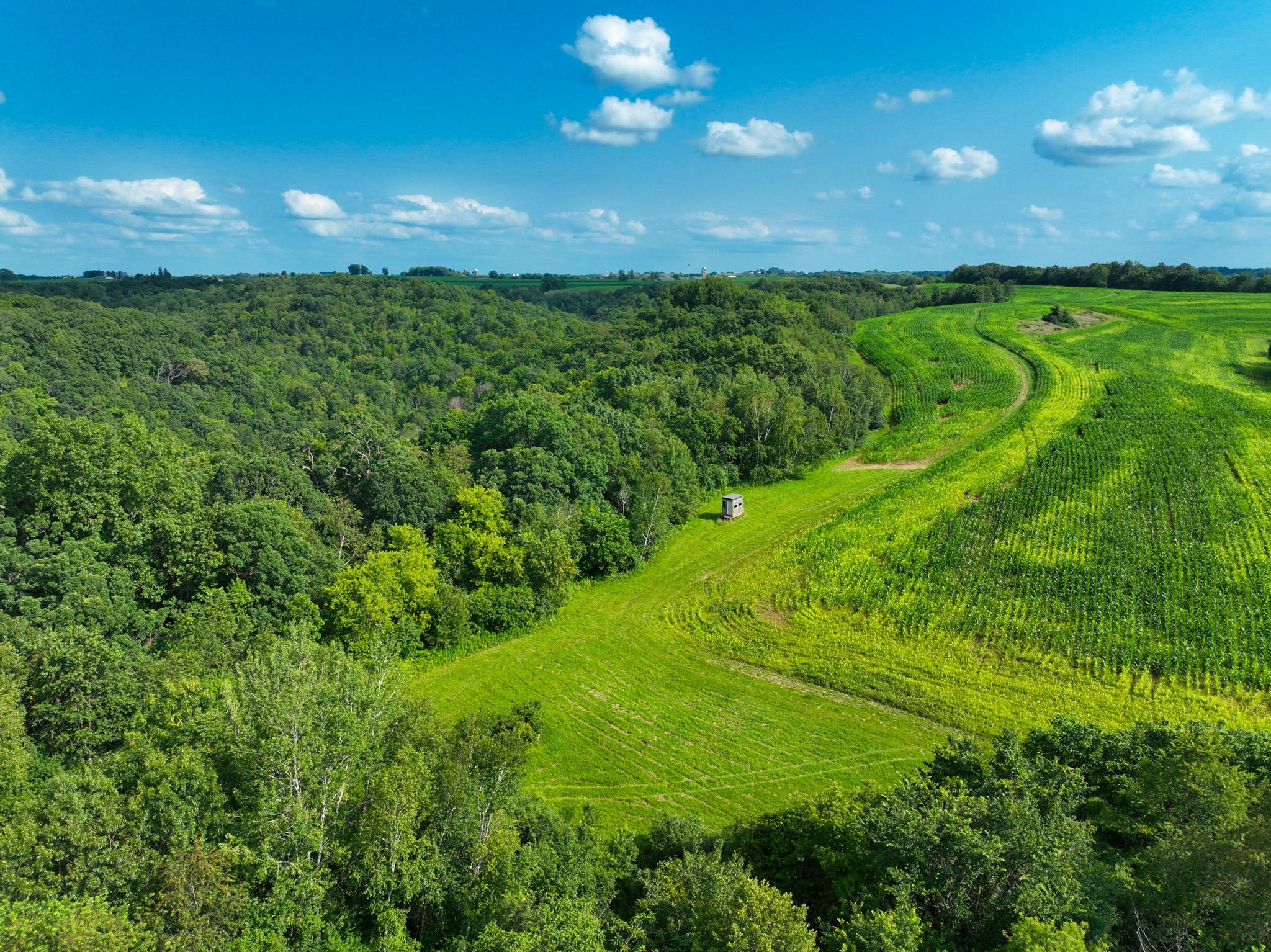 DJI_0285.jpg