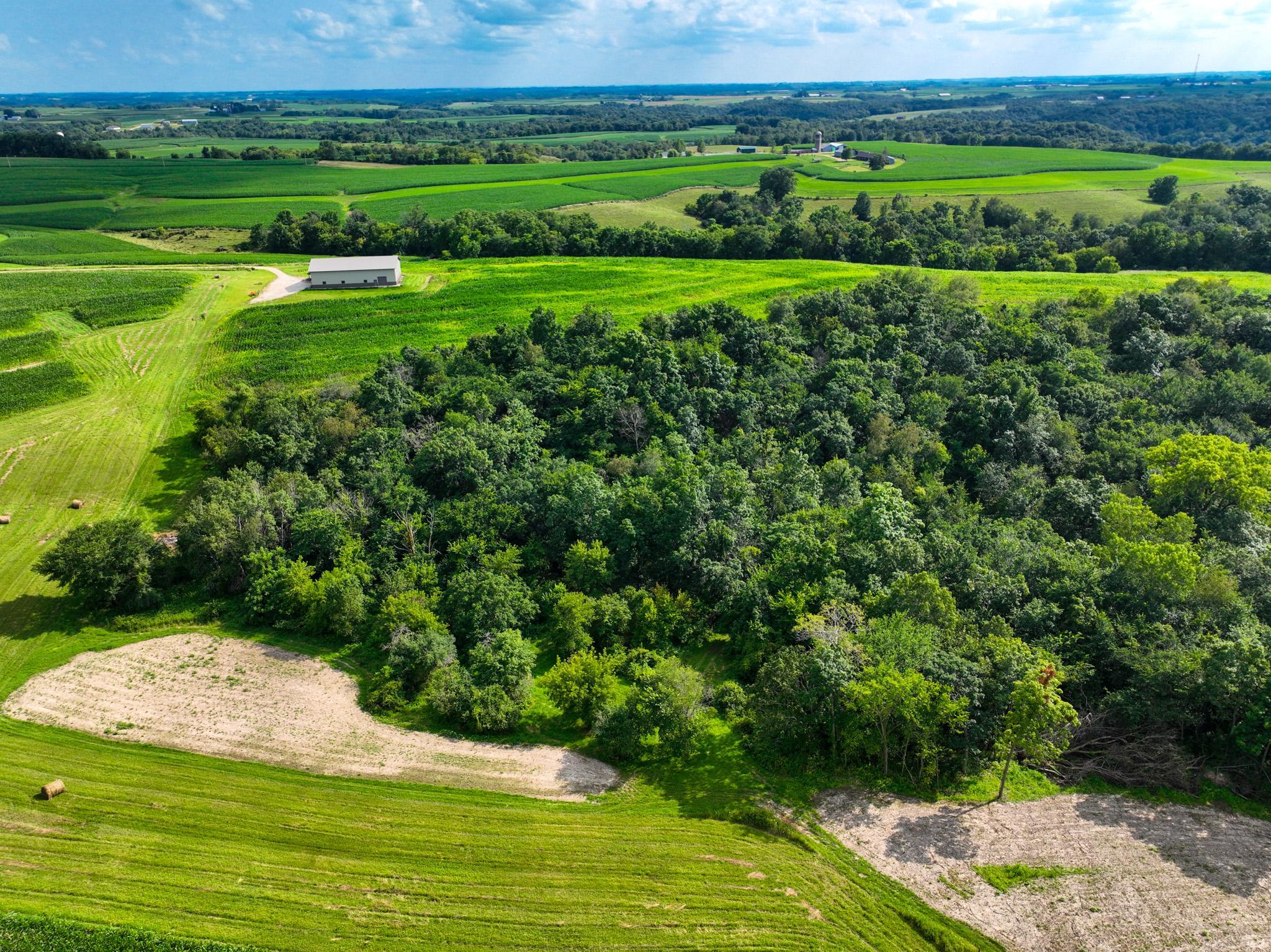 DJI_0263.jpg