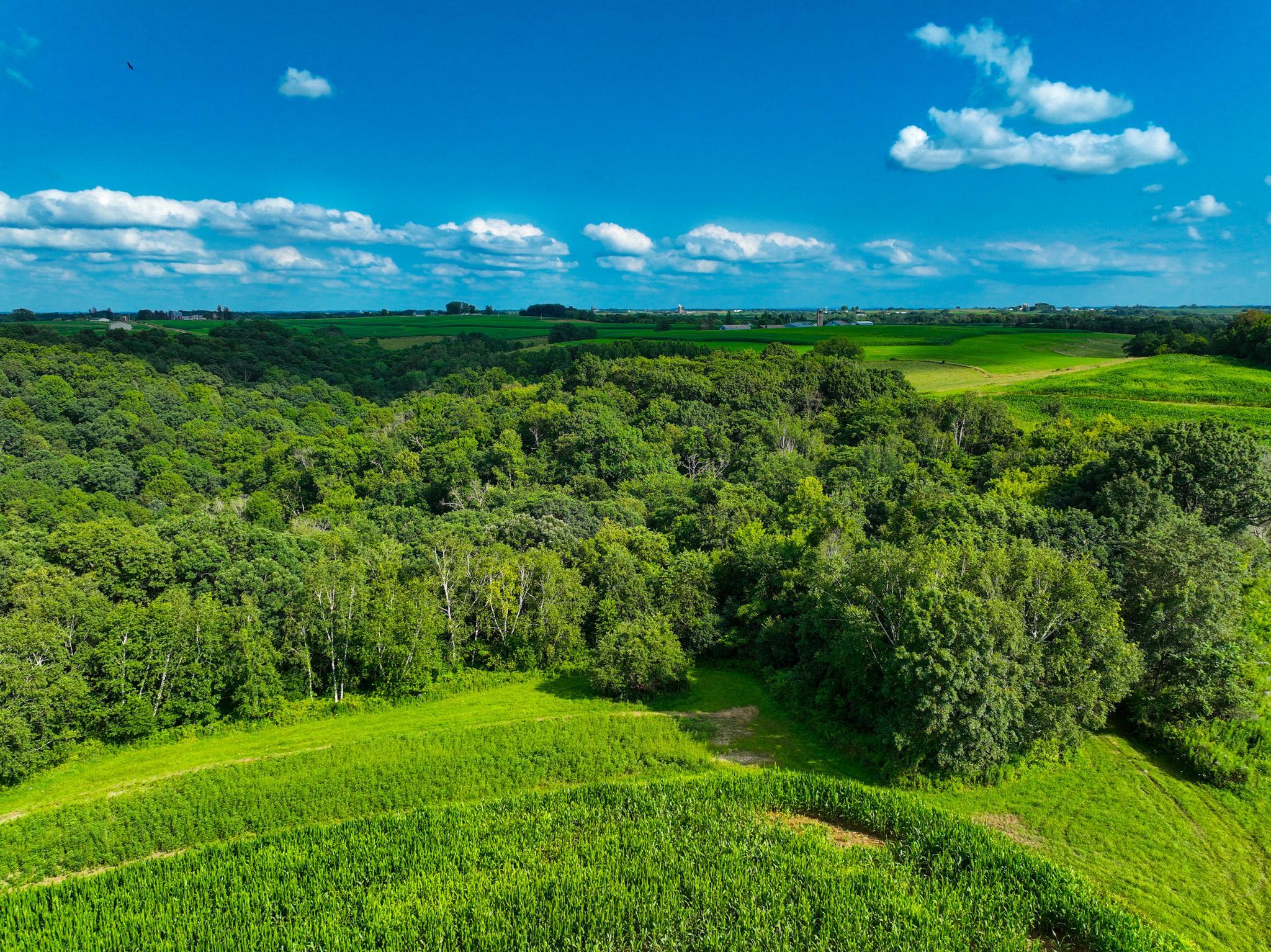 DJI_0294.jpg