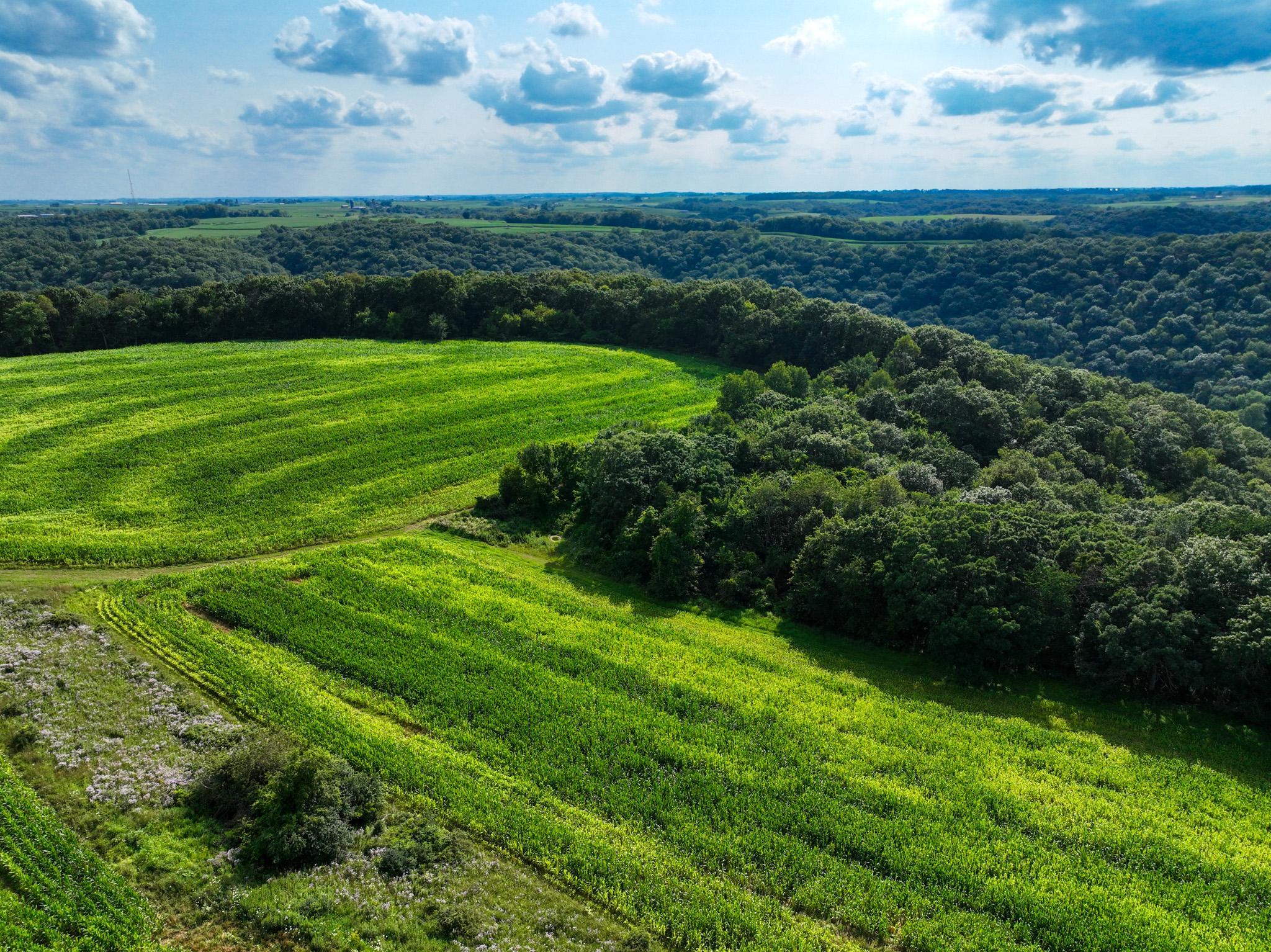 DJI_0288.jpg