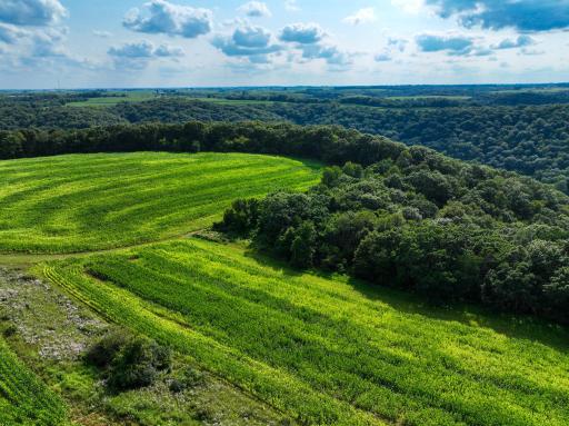 11250 Davy Road, Hokah, MN 55941