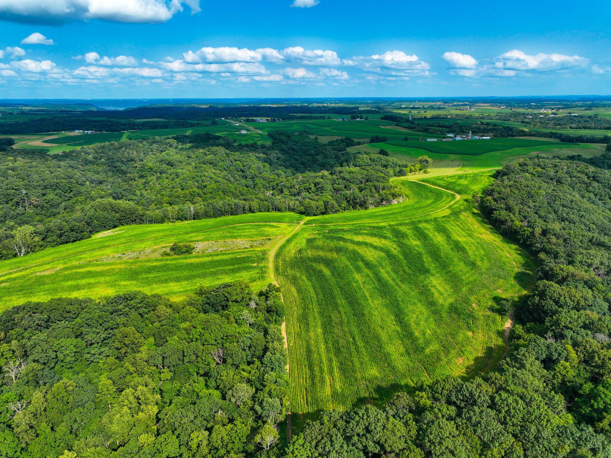 DJI_0291.jpg