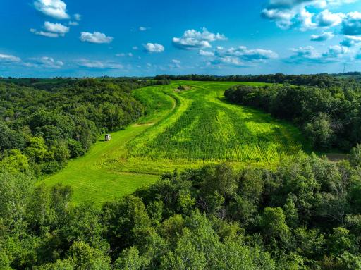 11250 Davy Road, Hokah, MN 55941