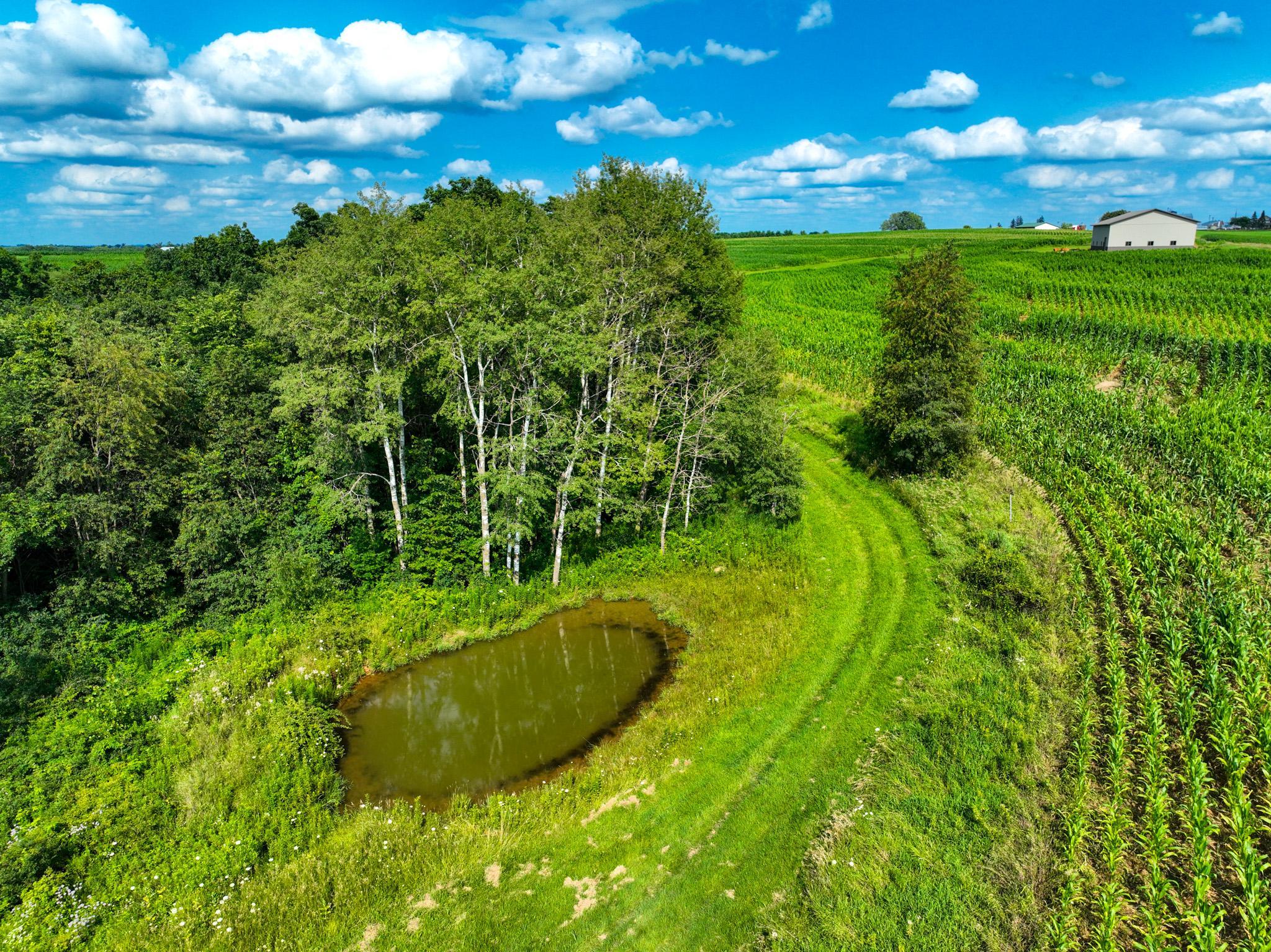 DJI_0259.jpg