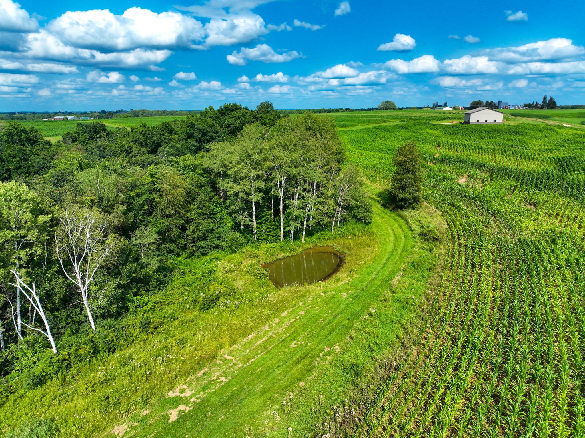 DJI_0258.jpg