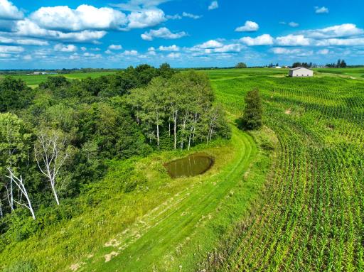11250 Davy Road, Hokah, MN 55941