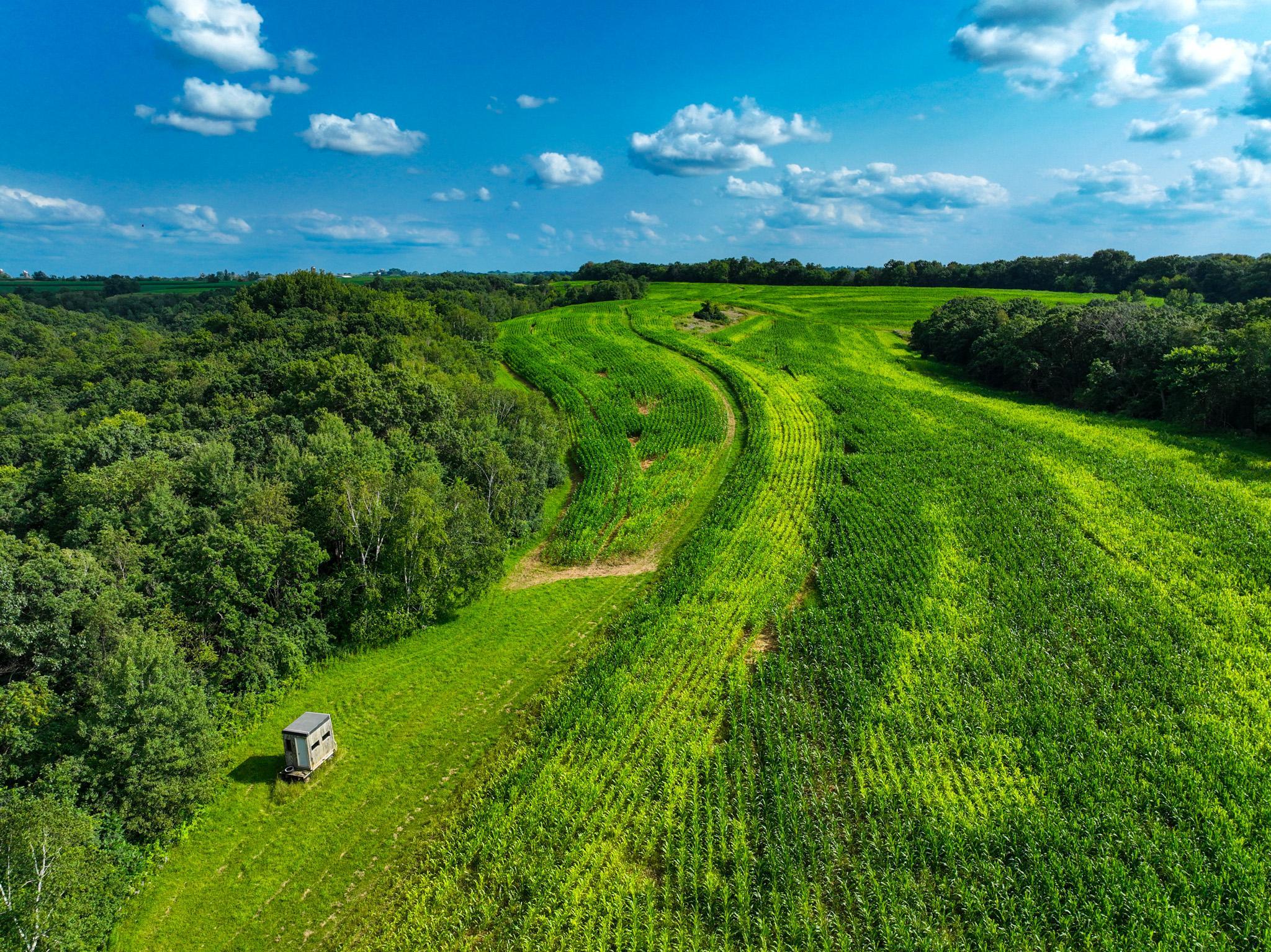 DJI_0287.jpg