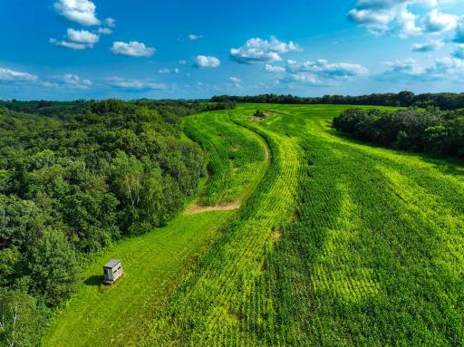 11250 Davy Road, Hokah, MN 55941