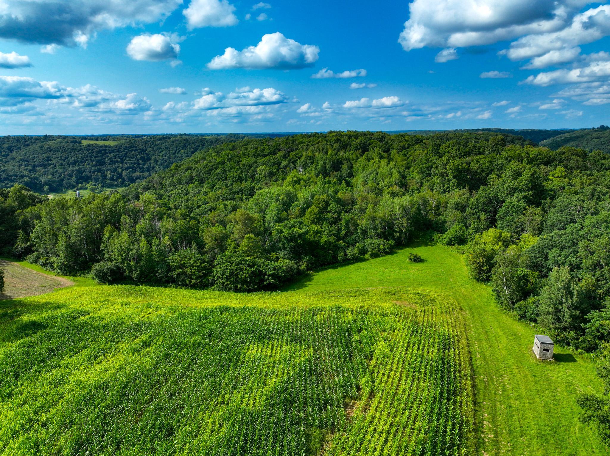 DJI_0284.jpg
