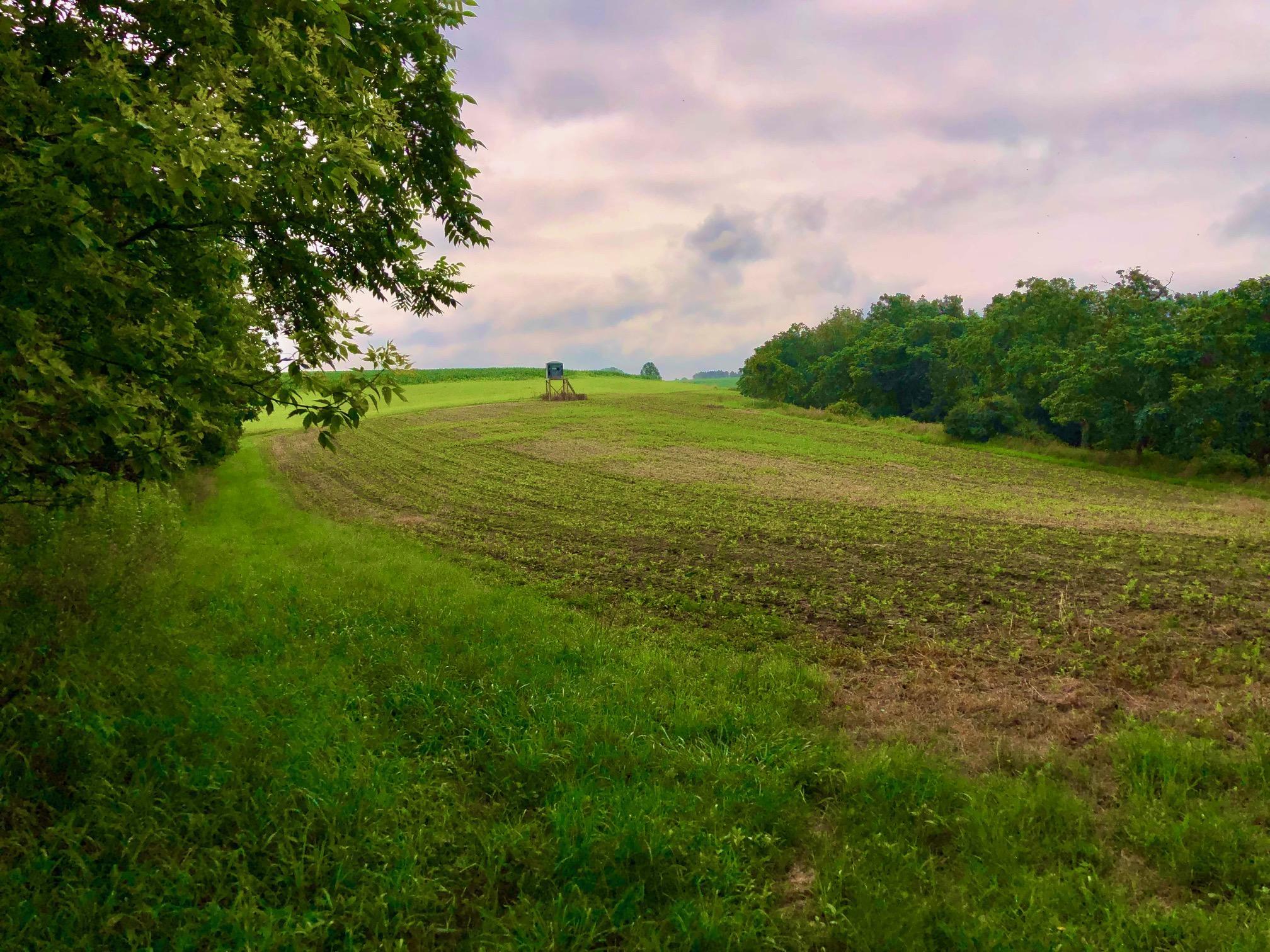 IMG_8272 (002).jpg