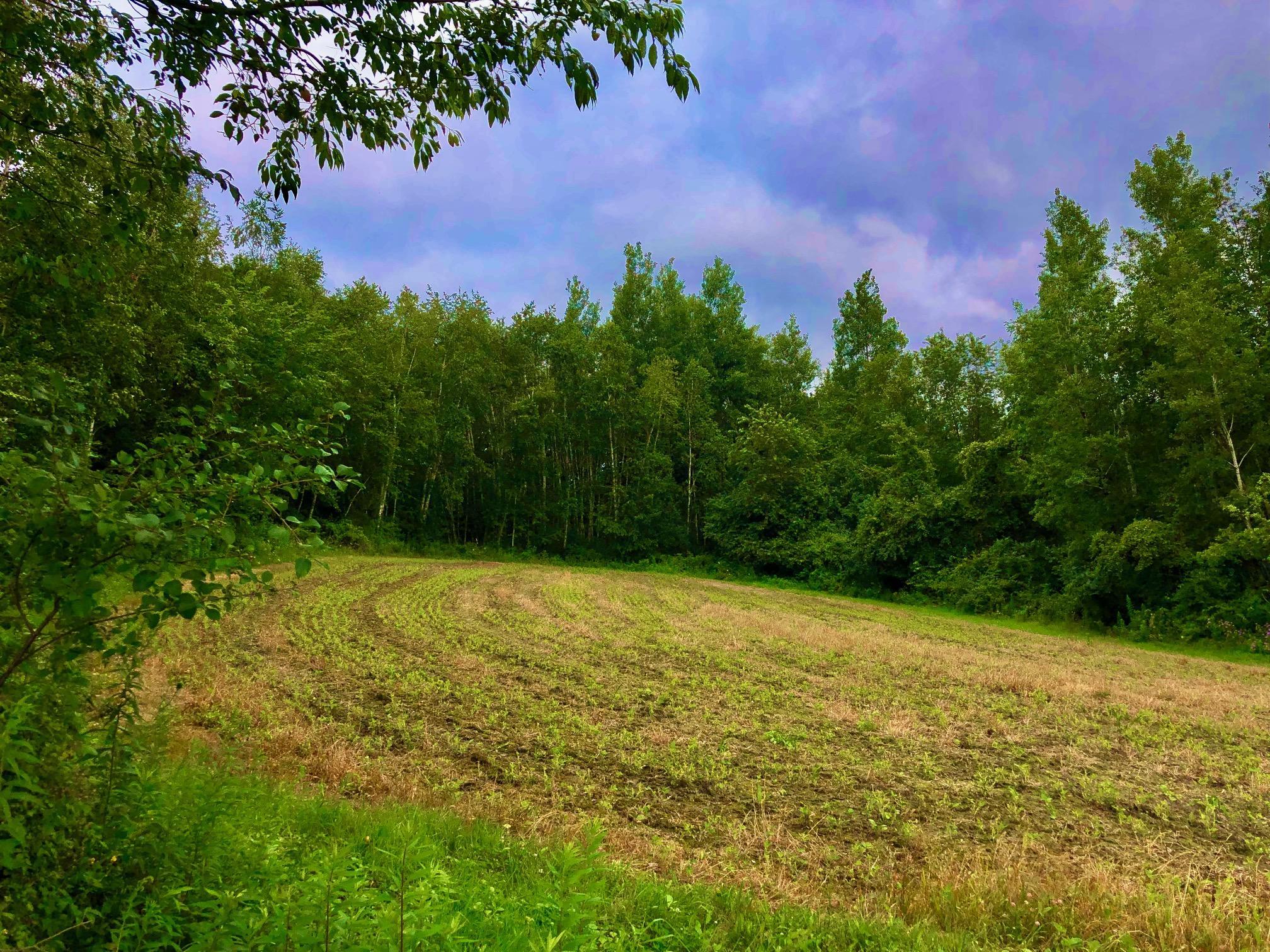 IMG_8297 (002).jpg