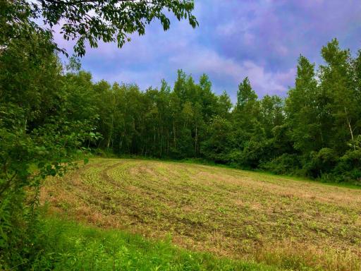 11250 Davy Road, Hokah, MN 55941
