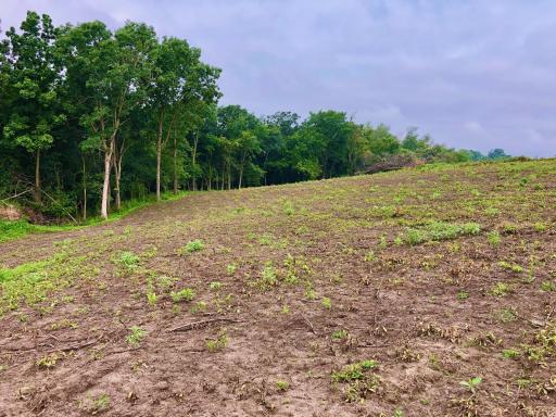 11250 Davy Road, Hokah, MN 55941