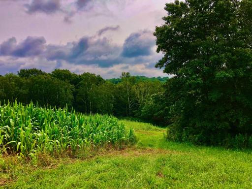 11250 Davy Road, Hokah, MN 55941