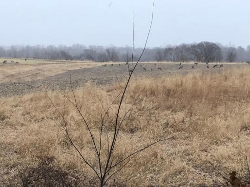 11250 Davy Road, Hokah, MN 55941