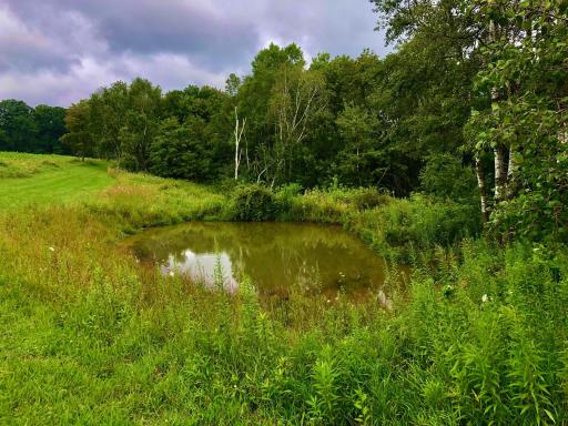 11250 Davy Road, Hokah, MN 55941