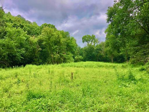 11250 Davy Road, Hokah, MN 55941