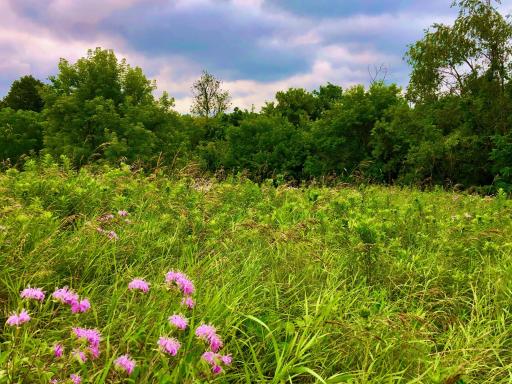 11250 Davy Road, Hokah, MN 55941