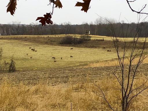 11250 Davy Road, Hokah, MN 55941