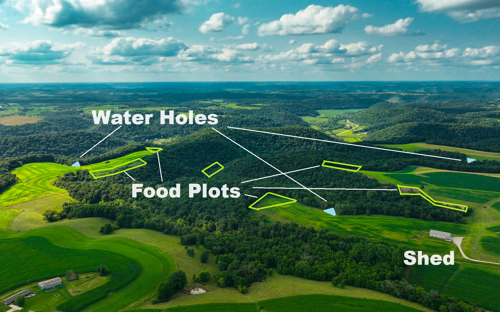 Plot & water.png