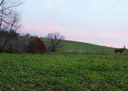 11250 Davy Road, Hokah, MN 55941