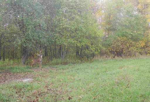 11250 Davy Road, Hokah, MN 55941