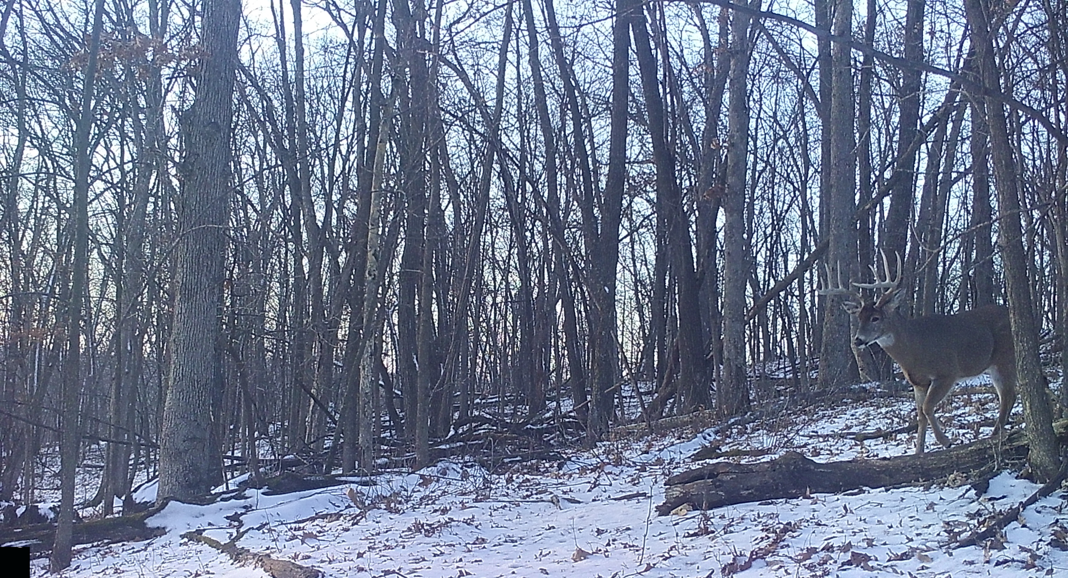 IMG_0274.png