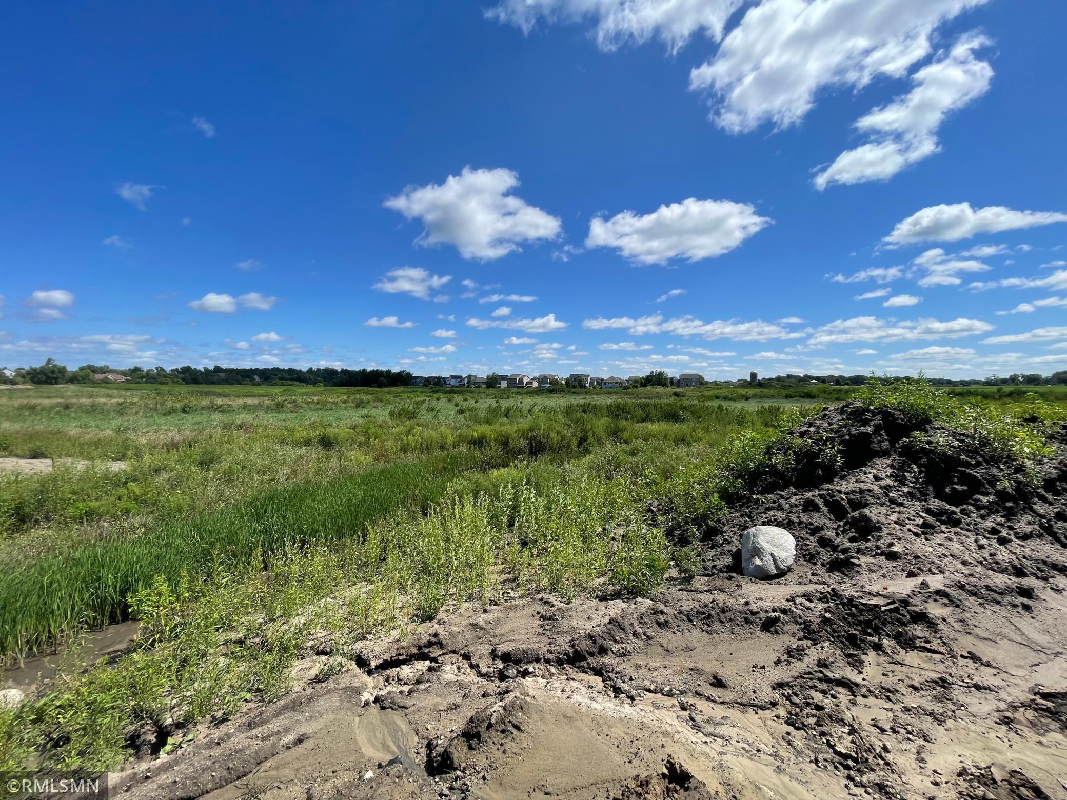 Homesite backed up to wetland!