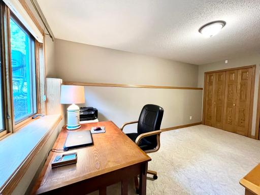 Lower level bedroom 4