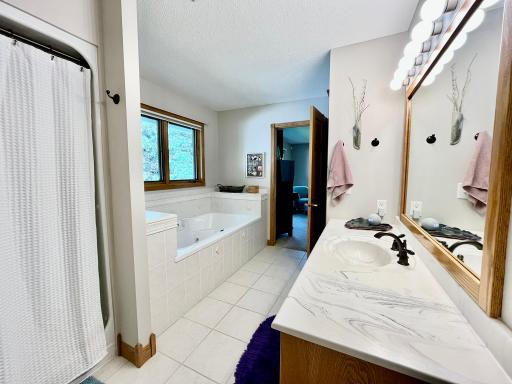 Owner's suite bath