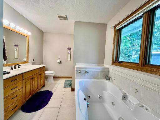 Owner's suite bath